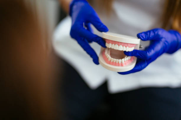 Best Dental X-Rays and Imaging  in Brewster Heights, NY