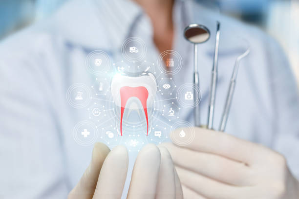 Professional  Holistic Dental Services in Brewster Heights, NY