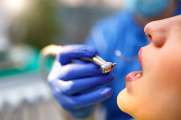 Best Dentures (Full and Partial)  in Brewster Heights, NY